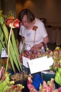 [mother, with carnivores]